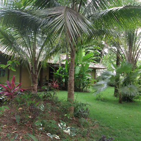 Nirvana Beach Hotel-2