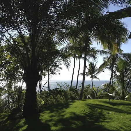 Nirvana Beach Hotel-3