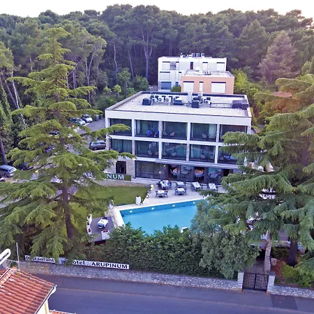 Hotel Arupinum-3