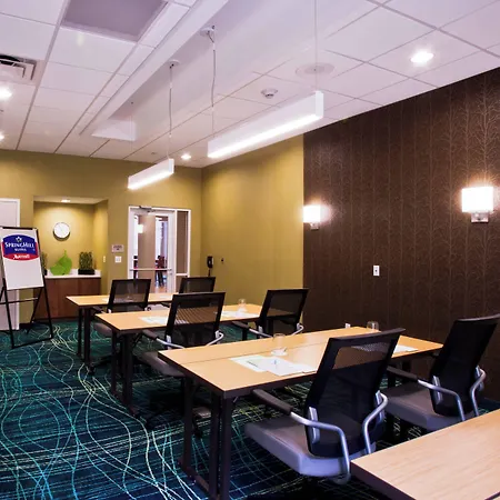 Springhill Suites By Marriott Mobile West-2