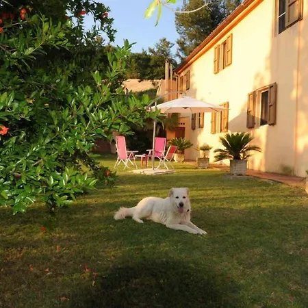 B&B Glicine-2