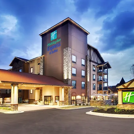 Holiday Inn Express & Suites Helen By Ihg-3
