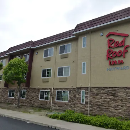 Red Roof Inn Hayward-3