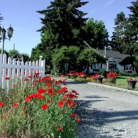 Cozy Rose Inn-2