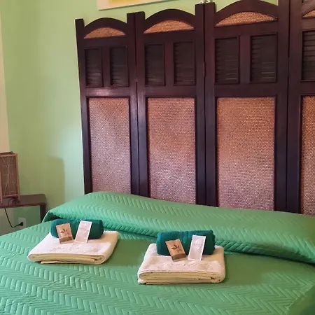 B&B Jamba-2
