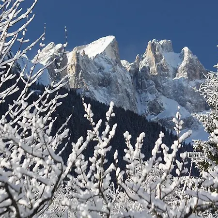 Hotel Stella Alpina-3