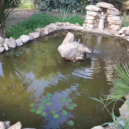 B&B Pian Del Lago-3