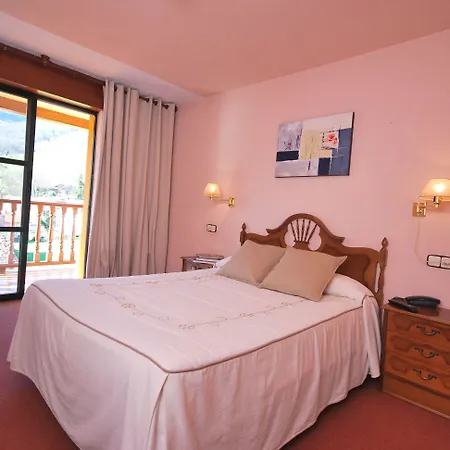 Hotel Principado De Europa-3