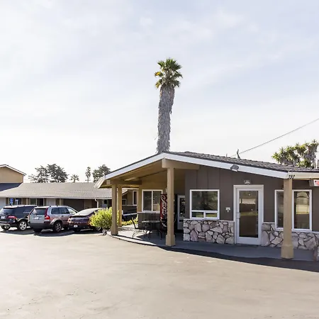 Ocean Palms Motel-2