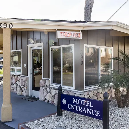 Ocean Palms Motel-3