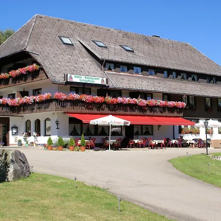 SchöpPerle-3
