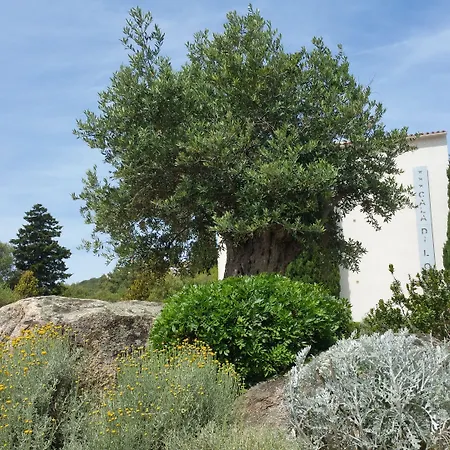 Hotel Cala Di L'Oru-2