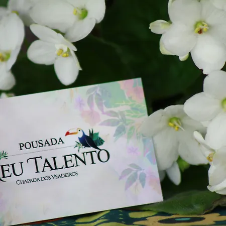 Pousada Meu Talento-2
