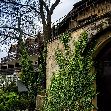 Hotel Bad Dürkheim-3