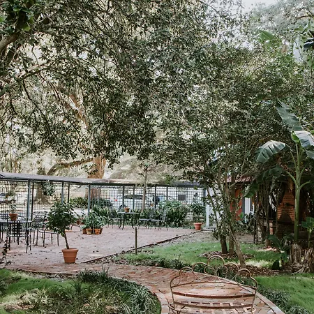 Maison Mouton Bed & Breakfast-2