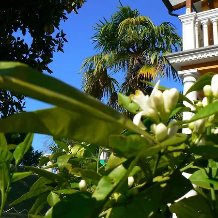 B&B Aquilone-3