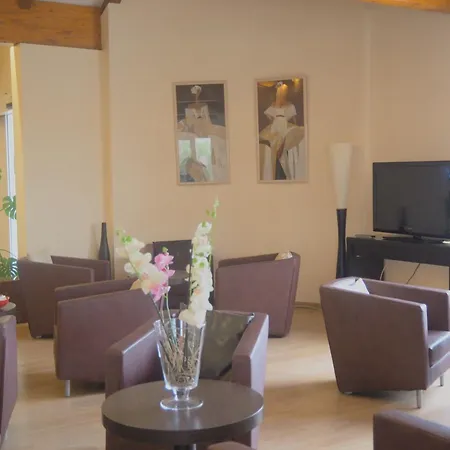 Brit Hotel Confort Castres-3