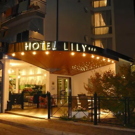 Hotel Lily-3