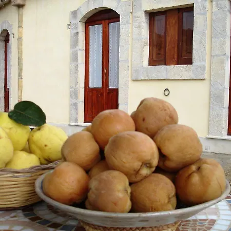 La Suma Sumalia-3