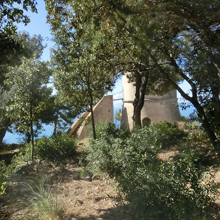 Talamoni B&B-2