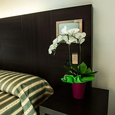 Hotel Davide-2