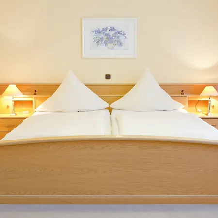 Hotel Birkenstern-2