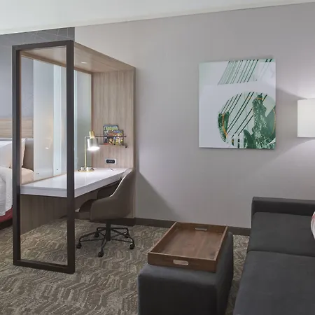 Springhill Suites By Marriott East Lansing University Area, Lansing Area-3