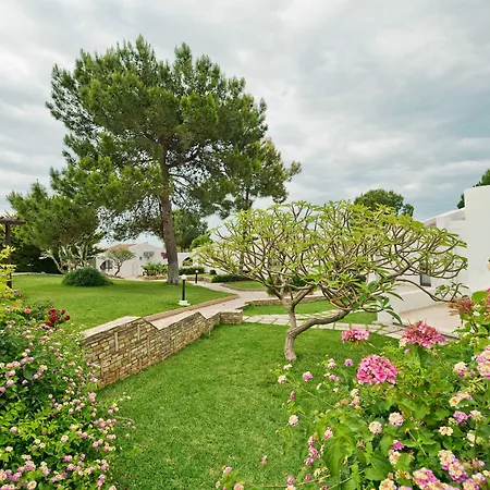 The Olive Tree Hotel-2