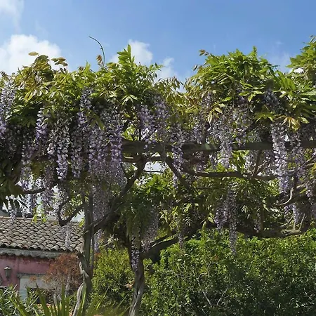 Casa Velardi-3