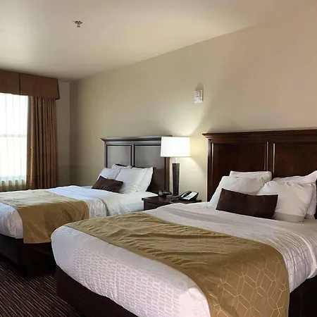 Radisson Hotel River Falls-3