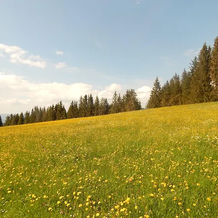 Berggasthof Sonne Allgaeu-3