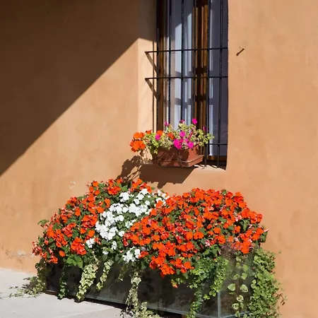 B&B Stradivari-2