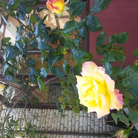 B&B Villa Acero-2