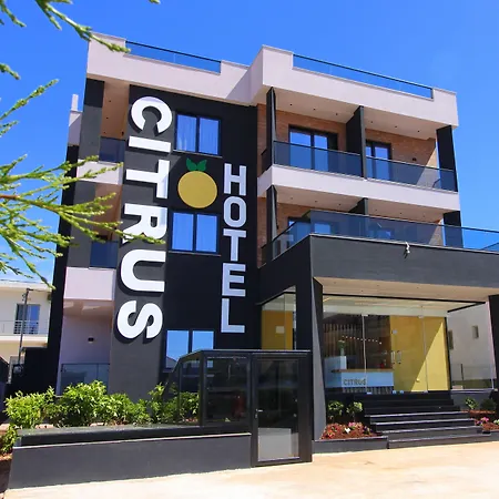 Hotel Citrus-2