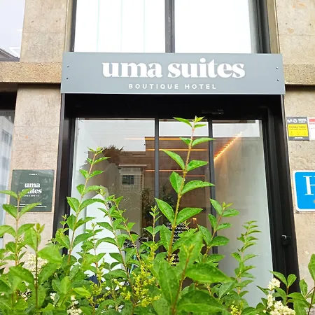Colectia Hotel Ondarreta-2