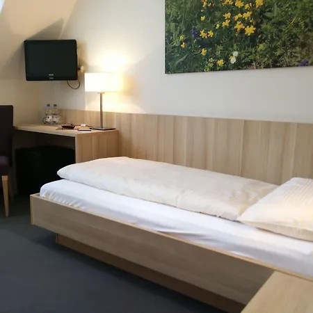 Hotel Lötschberg-2