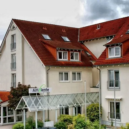 Hotel Ambiente Walldorf-3
