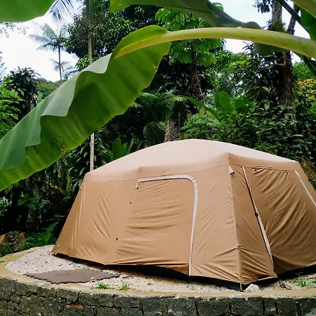 Sitio Simple Life-2