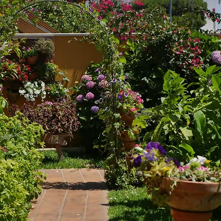 Hotel Doñana Blues-2