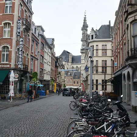 Hotel Professor Leuven Centrum-2