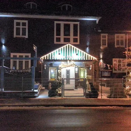 Pension Haus am Waldesrand-2