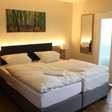 Hotel Waldrausch-3