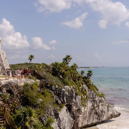 Nest Tulum-2