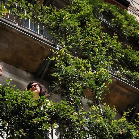 Tomato Backpackers-3