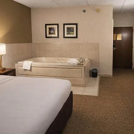Comfort Inn Farmington Hills - Novi-Royal Oaks-Southfield-Detroit Northwest-3