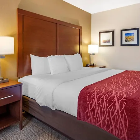 Comfort Inn Great Falls South-2