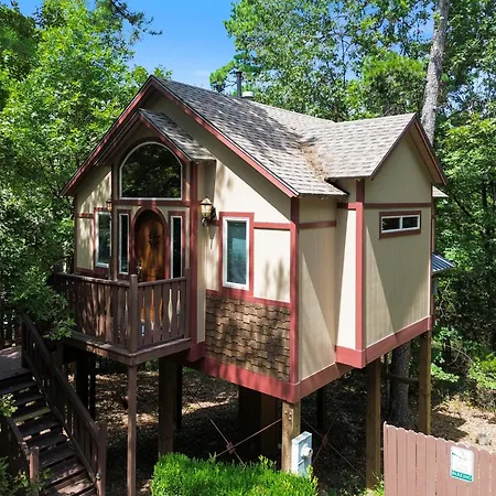 The Grand Treehouse Resort-2