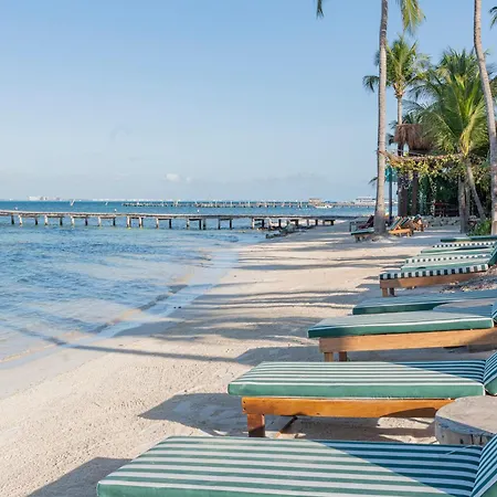 Mayan Monkey Isla Mujeres - Social Hotel (Adults Only)-3
