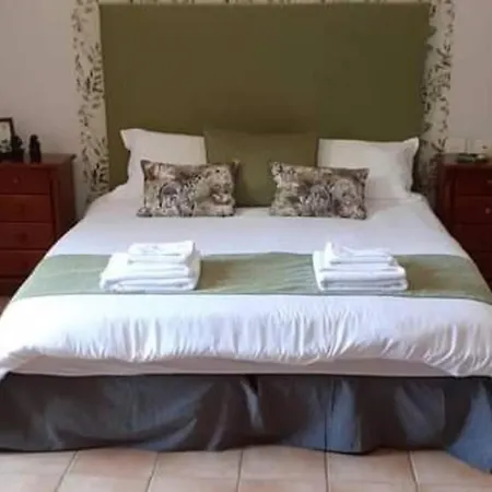 Ziggys Mountain Retreat (Adults Only)-3