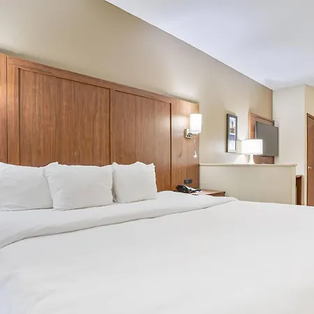 Comfort Inn & Suites Montgomery East Carmichael Rd-3